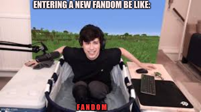 New Fandoms be Like | ENTERING A NEW FANDOM BE LIKE:; F A N D O M | image tagged in uncomfortable georgenotfound,dsmp,gogy | made w/ Imgflip meme maker