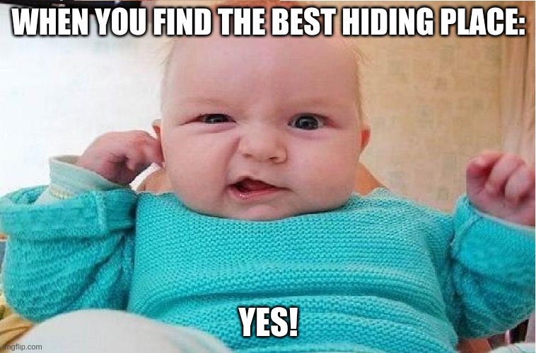 Baby Reactions Be Like: | WHEN YOU FIND THE BEST HIDING PLACE:; YES! | image tagged in baby,hide and seek | made w/ Imgflip meme maker