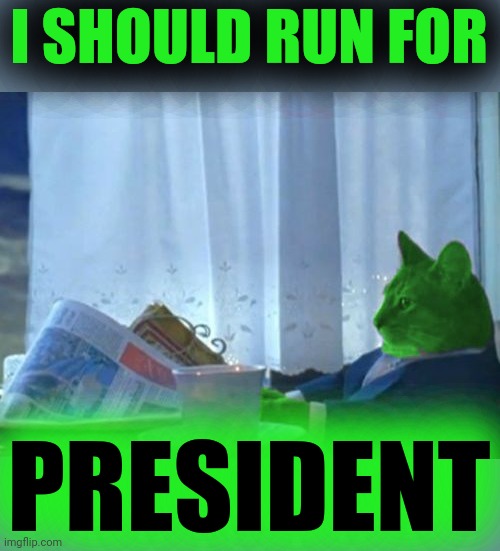 I Should Buy a Boat RayCat | I SHOULD RUN FOR PRESIDENT | image tagged in i should buy a boat raycat | made w/ Imgflip meme maker