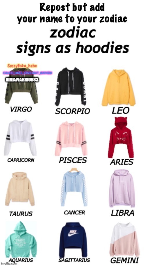 im a virgo | NINJAWARRIOR83 | made w/ Imgflip meme maker