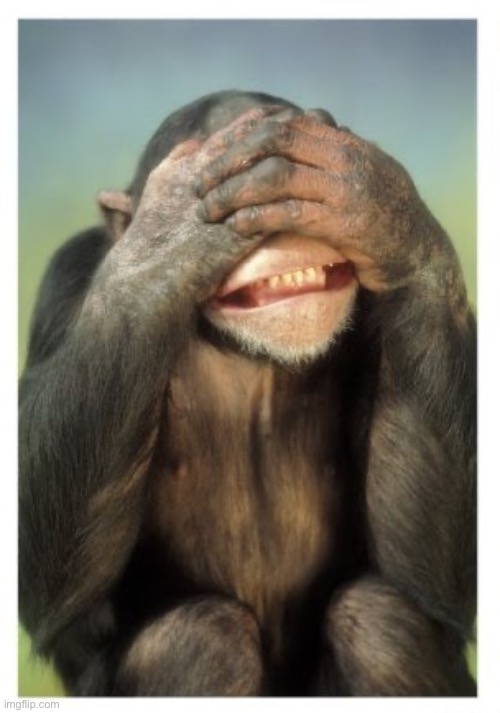Monkey covers eyes | image tagged in monkey covers eyes | made w/ Imgflip meme maker