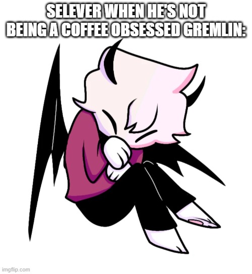 SELEVER WHEN HE'S NOT BEING A COFFEE OBSESSED GREMLIN: | made w/ Imgflip meme maker