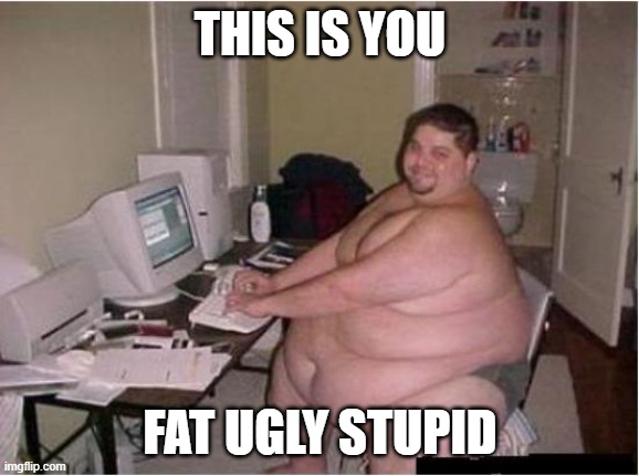 really fat guy on computer | THIS IS YOU FAT UGLY STUPID | image tagged in really fat guy on computer | made w/ Imgflip meme maker