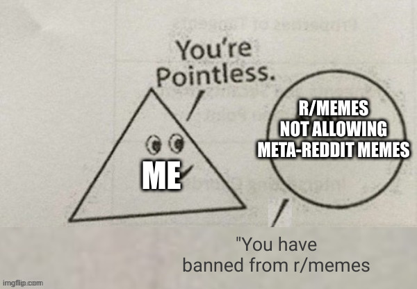 I hate mods who can only deal with people by banning them | R/MEMES NOT ALLOWING META-REDDIT MEMES; ME; "You have banned from r/memes | image tagged in you're pointless blank | made w/ Imgflip meme maker