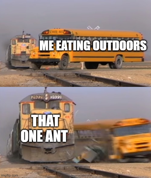 This happens way too often, especially because I live in Oregon | ME EATING OUTDOORS; THAT ONE ANT | image tagged in a train hitting a school bus | made w/ Imgflip meme maker