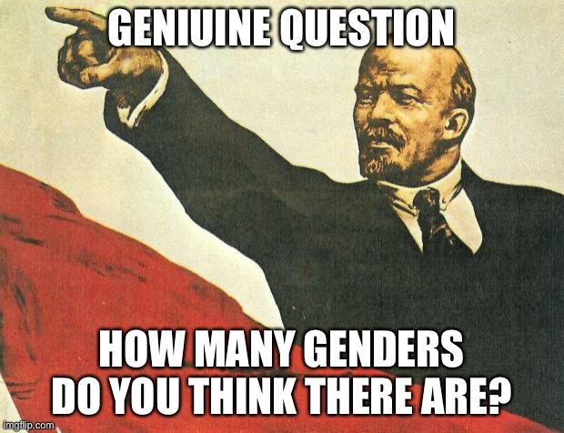 ...you're a communist | GENIUINE QUESTION; HOW MANY GENDERS DO YOU THINK THERE ARE? | image tagged in you're a communist | made w/ Imgflip meme maker