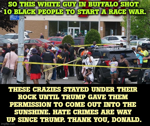 SO THIS WHITE GUY IN BUFFALO SHOT 
10 BLACK PEOPLE TO START A RACE WAR. THESE CRAZIES STAYED UNDER THEIR 
ROCK UNTIL TRUMP GAVE THEM 
PERMISSION TO COME OUT INTO THE 
SUNSHINE. HATE CRIMES ARE WAY 
UP SINCE TRUMP. THANK YOU, DONALD. | image tagged in shooting,bigotry,hatred,hate crime,trump | made w/ Imgflip meme maker