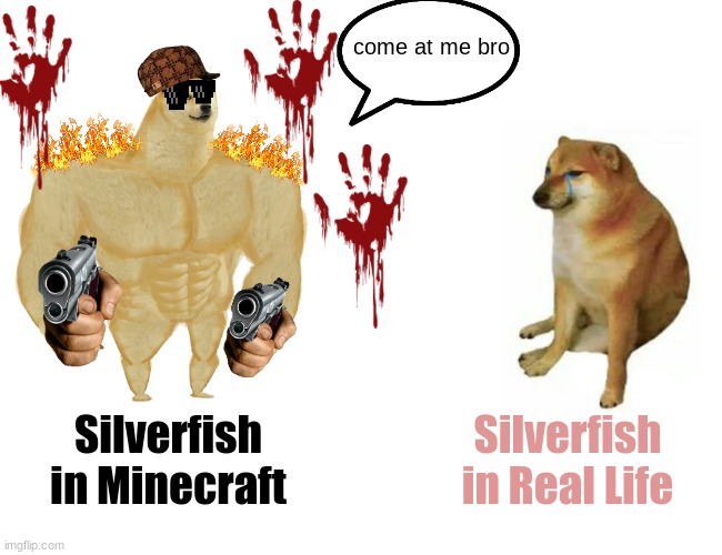 Buff Doge vs. Cheems | come at me bro; Silverfish in Minecraft; Silverfish in Real Life | image tagged in memes,buff doge vs cheems,minecraft,gaming | made w/ Imgflip meme maker