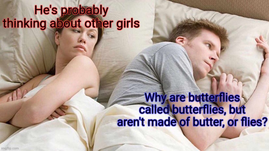 Lololol | He's probably thinking about other girls; Why are butterflies called butterflies, but aren't made of butter, or flies? | image tagged in memes,i bet he's thinking about other women | made w/ Imgflip meme maker