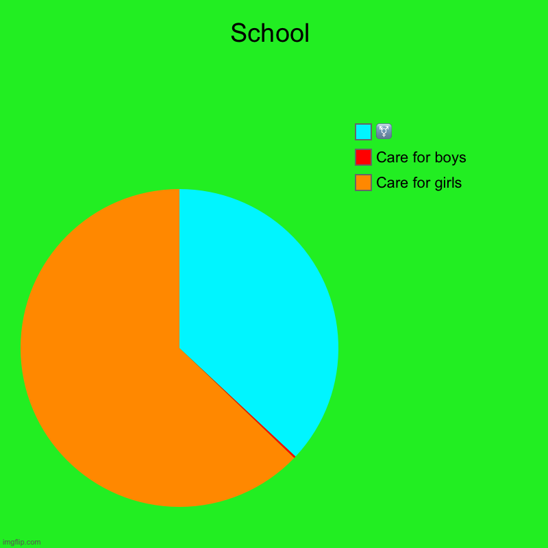 School | Care for girls, Care for boys, ⚧ | image tagged in charts,pie charts | made w/ Imgflip chart maker