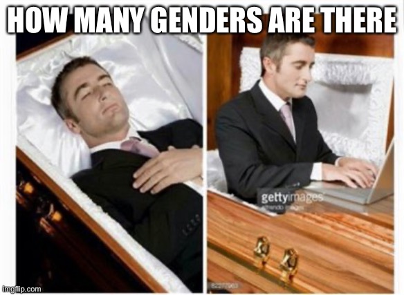 Dead guy | HOW MANY GENDERS ARE THERE | image tagged in dead guy | made w/ Imgflip meme maker