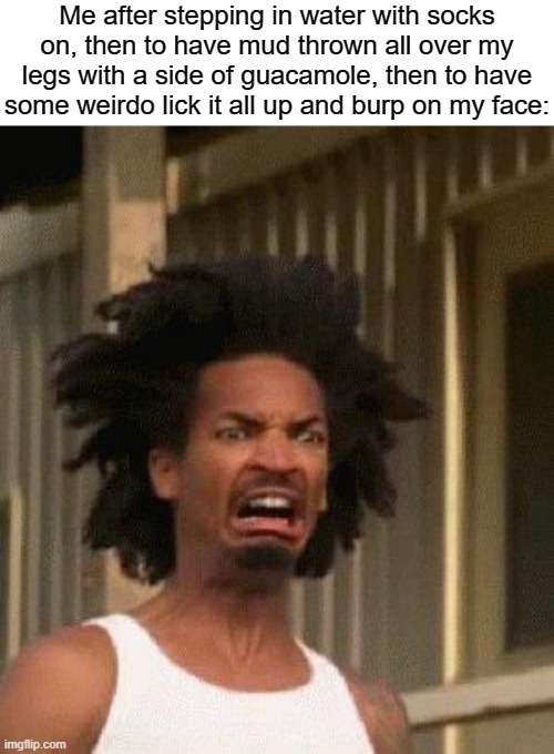 EEeeeEWWWwwww!!!!! WTF! | Me after stepping in water with socks on, then to have mud thrown all over my legs with a side of guacamole, then to have some weirdo lick it all up and burp on my face: | image tagged in disgusted face,memes,funny,wet socks,ewwww,guacamole | made w/ Imgflip meme maker