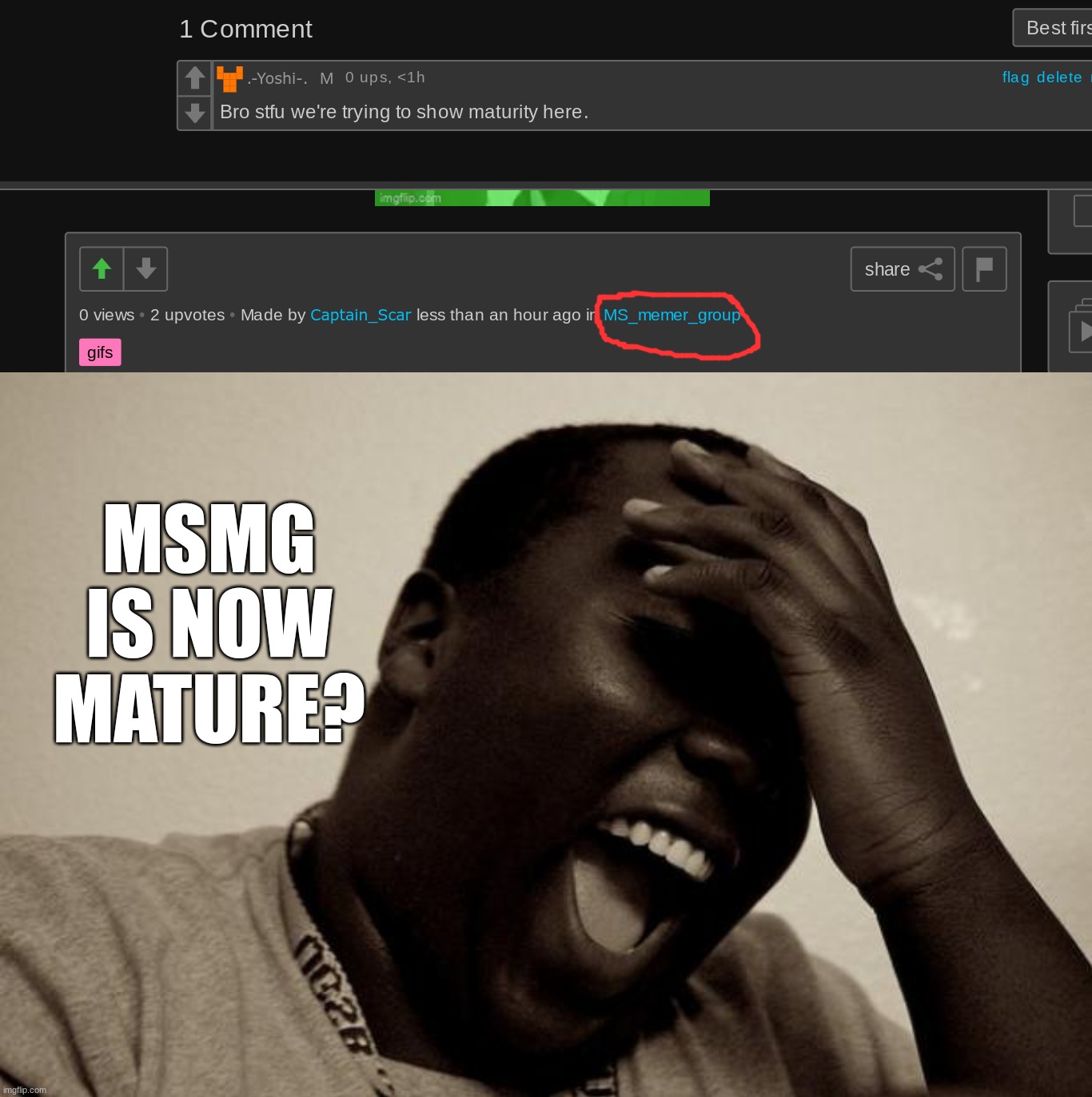 MSMG IS NOW MATURE? | image tagged in laughter | made w/ Imgflip meme maker