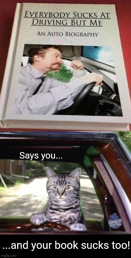 I could write this book | Says you... ...and your book sucks too! | image tagged in toonsis the cat that could drive,bad drivers,everybody sucks,driving | made w/ Imgflip meme maker