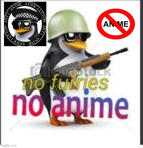 No Anime | image tagged in no anime allowed | made w/ Imgflip meme maker