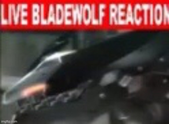 Live Bladewolf Reaction | image tagged in live bladewolf reaction | made w/ Imgflip meme maker
