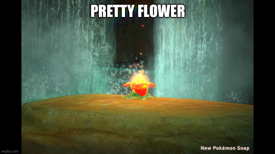 Is pretty | PRETTY FLOWER | made w/ Imgflip meme maker