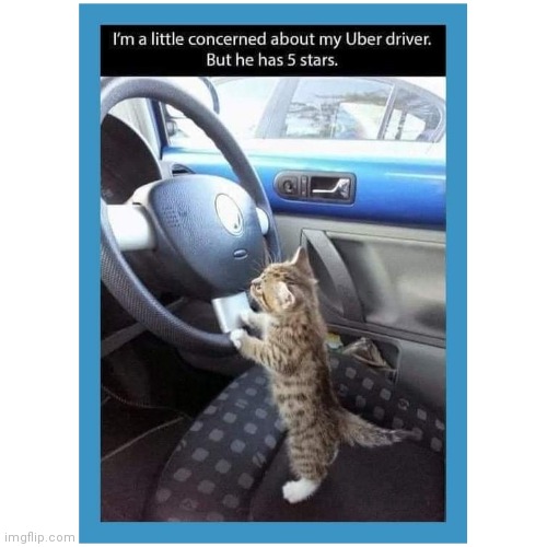 Side job | image tagged in car,uber,druver | made w/ Imgflip meme maker
