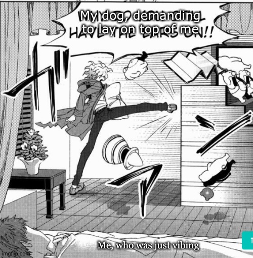 Nagito kicking down door | My dog, demanding to lay on top of me; Me, who was just vibing | image tagged in nagito kicking down door | made w/ Imgflip meme maker