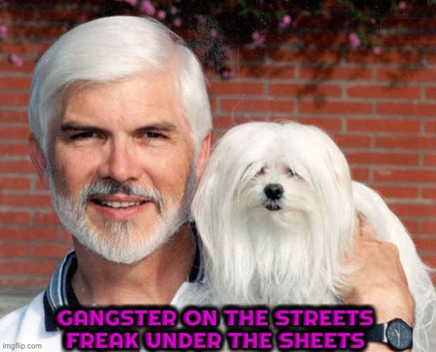 image tagged in funny,dogs,so true memes,gangster,sexy,boomer | made w/ Imgflip meme maker