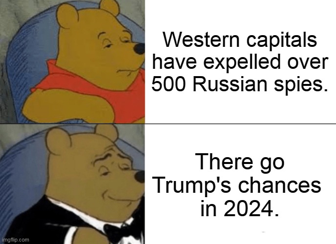 Donald lost his friends in high places? He can't do it on his own. | Western capitals have expelled over 500 Russian spies. There go Trump's chances 
in 2024. | image tagged in memes,tuxedo winnie the pooh,trump,russian,puppet,spies | made w/ Imgflip meme maker