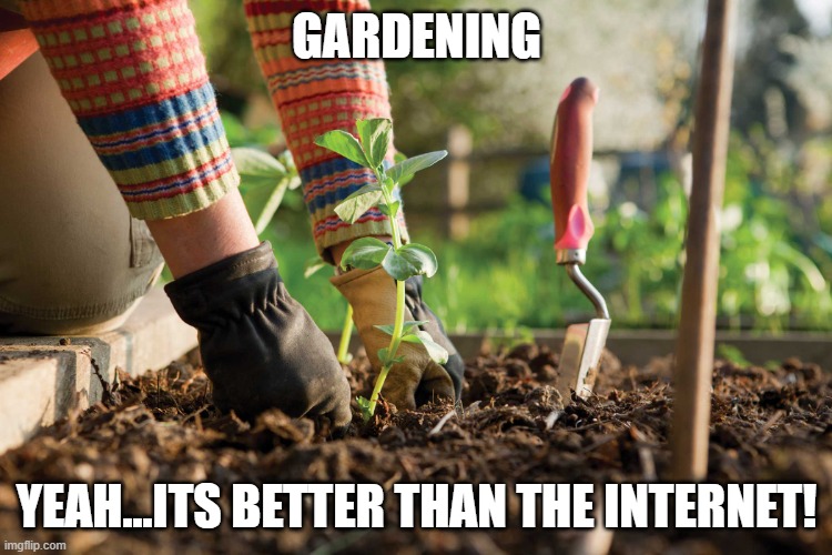 Gardening | GARDENING; YEAH...ITS BETTER THAN THE INTERNET! | image tagged in gardening | made w/ Imgflip meme maker