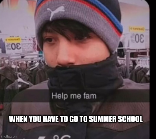 Life in Society | WHEN YOU HAVE TO GO TO SUMMER SCHOOL | image tagged in quackity,walmart,dsmp | made w/ Imgflip meme maker