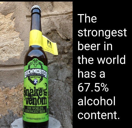One is enough | image tagged in beer,alcohol | made w/ Imgflip meme maker