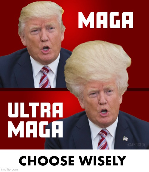 CHOOSE WISELY | made w/ Imgflip meme maker