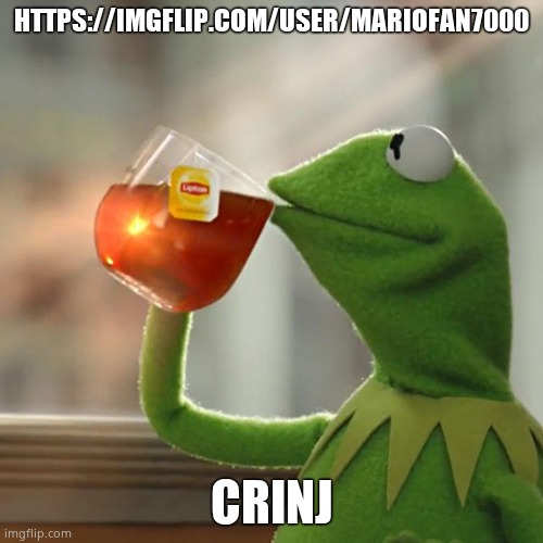 But That's None Of My Business | HTTPS://IMGFLIP.COM/USER/MARIOFAN7000; CRINJ | image tagged in memes,but that's none of my business,kermit the frog | made w/ Imgflip meme maker