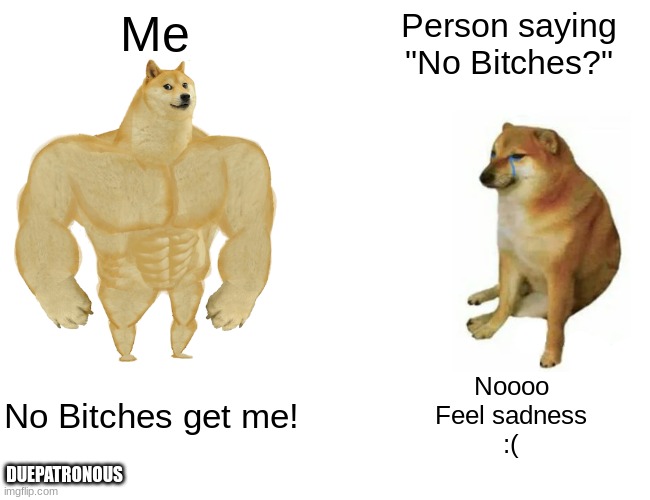 Lol | Me; Person saying "No Bitches?"; No Bitches get me! Noooo
Feel sadness
:(; DUEPATRONOUS | image tagged in memes,buff doge vs cheems,no bitches | made w/ Imgflip meme maker