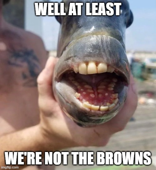Ravens Fans Coming up with Excuses | WELL AT LEAST; WE'RE NOT THE BROWNS | image tagged in well at least british fish | made w/ Imgflip meme maker