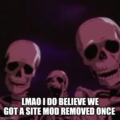 . | LMAO I DO BELIEVE WE GOT A SITE MOD REMOVED ONCE | made w/ Imgflip meme maker