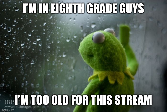 Remember that school stream where I was vice principal? | I’M IN EIGHTH GRADE GUYS; I’M TOO OLD FOR THIS STREAM | image tagged in kermit window | made w/ Imgflip meme maker