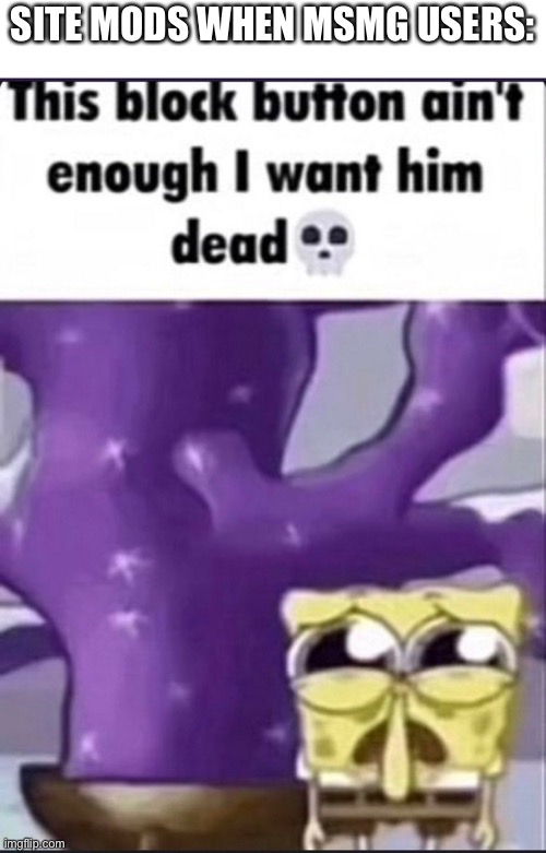 SITE MODS WHEN MSMG USERS: | image tagged in i want him dead | made w/ Imgflip meme maker