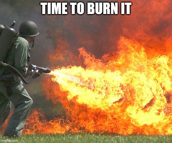 Flamethrower | TIME TO BURN IT | image tagged in flamethrower | made w/ Imgflip meme maker