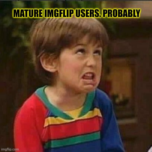 But why | MATURE IMGFLIP USERS. PROBABLY | image tagged in very mature kid,but why,its time to stop | made w/ Imgflip meme maker