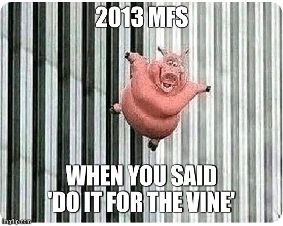 im funny and original | 2013 MFS; WHEN YOU SAID 'DO IT FOR THE VINE' | made w/ Imgflip meme maker