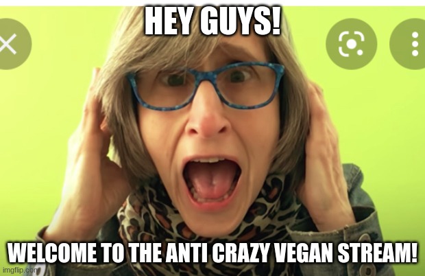 Vegan teacher | HEY GUYS! WELCOME TO THE ANTI CRAZY VEGAN STREAM! | image tagged in vegan teacher | made w/ Imgflip meme maker