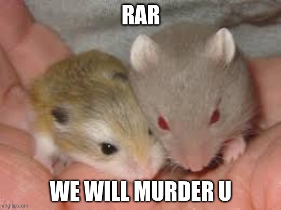 ummmmmmm       sry? | RAR; WE WILL MURDER U | image tagged in good and evil hamster | made w/ Imgflip meme maker