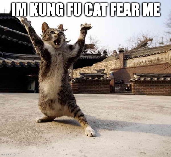 hehe ninja |  IM KUNG FU CAT FEAR ME | image tagged in ninja cat in stance | made w/ Imgflip meme maker