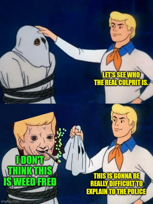 But why? | LET'S SEE WHO THE REAL CULPRIT IS. I DON'T THINK THIS IS WEED FRED; THIS IS GONNA BE REALLY DIFFICULT TO EXPLAIN TO THE POLICE | image tagged in scooby doo mask reveal,but why,weed,drugs are bad | made w/ Imgflip meme maker