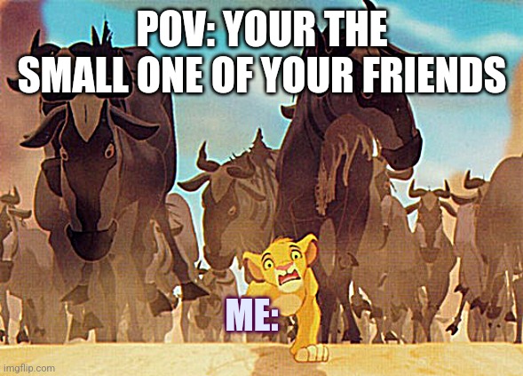 Lion King Stampede | POV: YOUR THE SMALL ONE OF YOUR FRIENDS; ME: | image tagged in lion king stampede | made w/ Imgflip meme maker