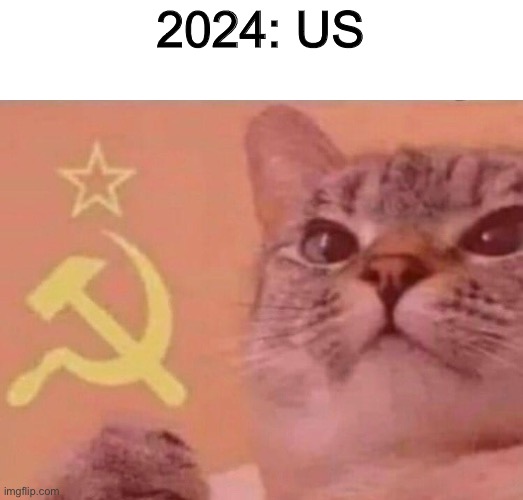 Communist cat | 2024: US | image tagged in communist cat | made w/ Imgflip meme maker