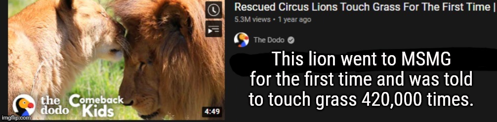 This lion went to MSMG for the first time and was told to touch grass 420,000 times. | made w/ Imgflip meme maker