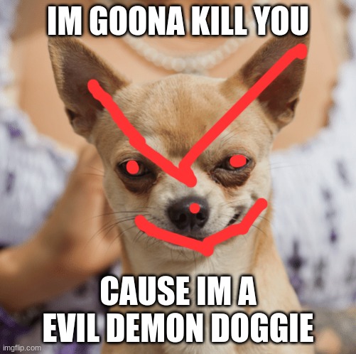 hehe gut really i love dogs a dog would never do this |  IM GOONA KILL YOU; CAUSE IM A EVIL DEMON DOGGIE | image tagged in evil dog smile smirk | made w/ Imgflip meme maker