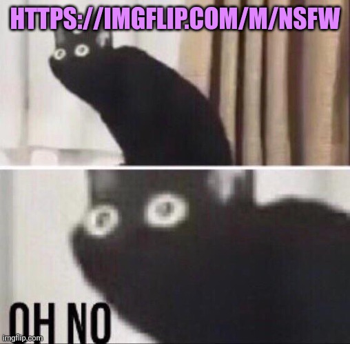 ohhhh no :^ report, report!!! | HTTPS://IMGFLIP.COM/M/NSFW | image tagged in oh no cat,report | made w/ Imgflip meme maker