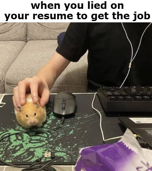 when you lied on your resume to get the job | image tagged in cv | made w/ Imgflip meme maker