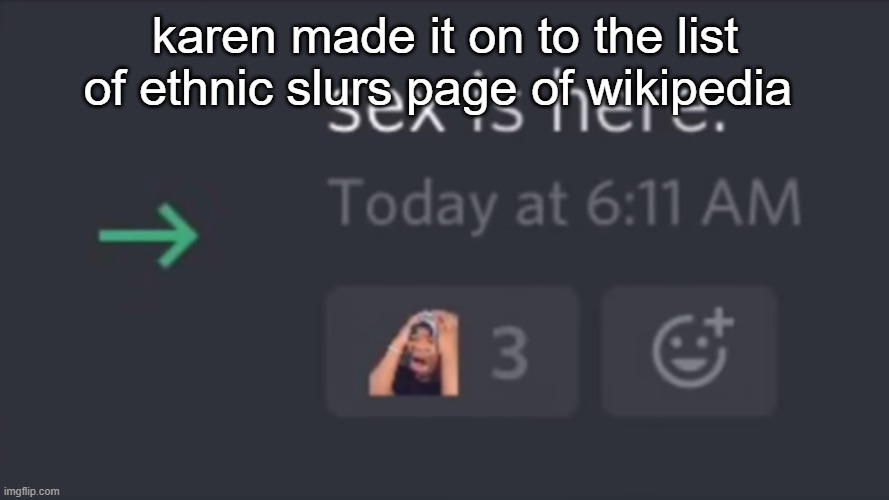 PEN15 | karen made it on to the list of ethnic slurs page of wikipedia | made w/ Imgflip meme maker