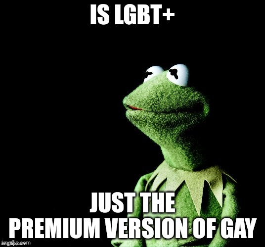 Contemplative Kermit |  IS LGBT+; JUST THE PREMIUM VERSION OF GAY | image tagged in contemplative kermit | made w/ Imgflip meme maker